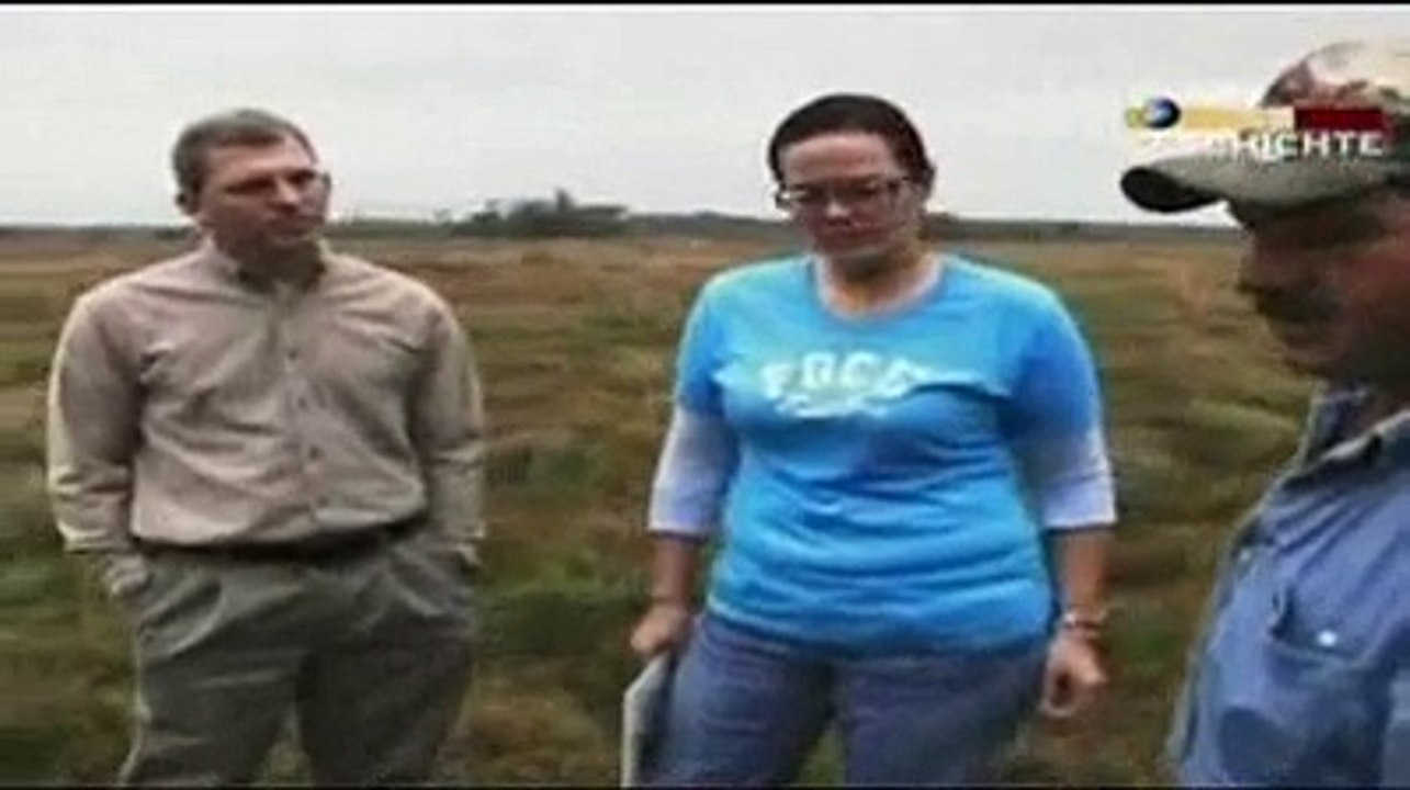 ALIEN UFO Viehverstümmelung Cattle mutilation