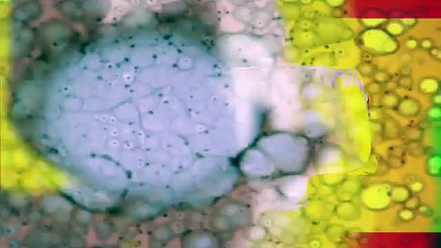 Honest Trailers - Fast Five (Feat. CinemaSins)