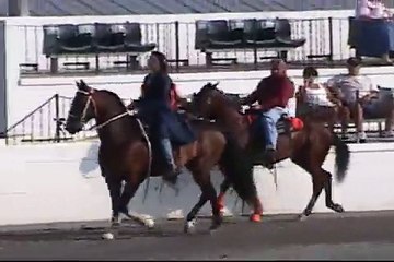 Pacing Horse Kelsey Ann Moore