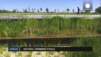 Les piscines naturelles de plus en plus prisées