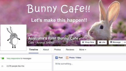 Latest animal cafe concept caters to Melbourne bunny lovers