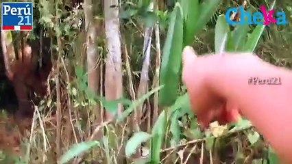 Paco Bardales: El narrador de cuentos de terror [Video]