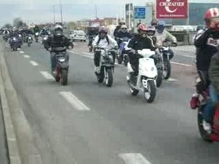 Rassemblement montauban