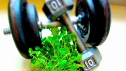 Watercress Alternative cancer treatment