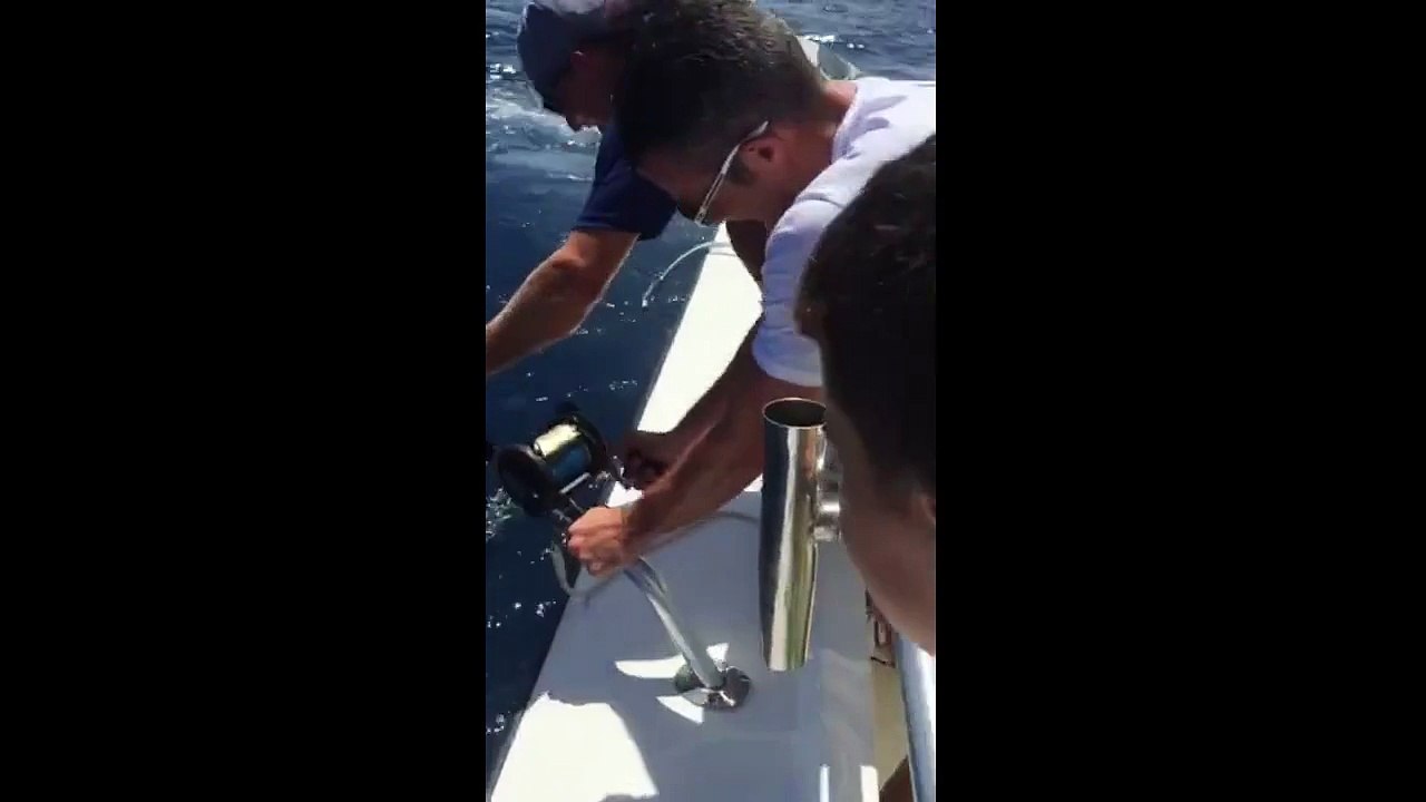 Robin Van Persie retrouve un requin au bout de sa canne à pêche