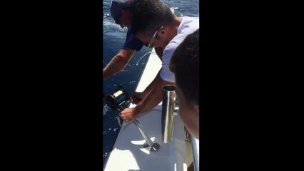 Robin Van Persie retrouve un requin au bout de sa canne à pêche