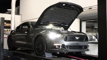 2015 Mustang GT 5.0 Manual Dyno Test At Brothers Performance
