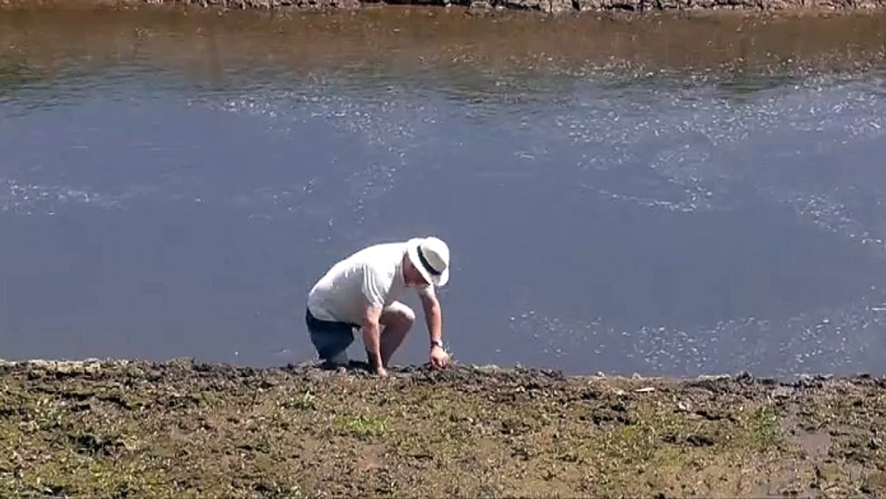 Un imprudent au lac de Guerlédan