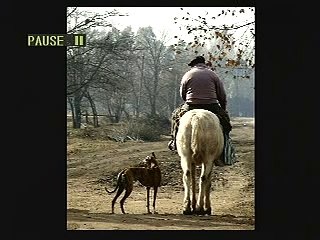 EL COBARDE/AUTOR BORIS ELKIN/HERNAN ROSAS / POESIA GAUCHA 16