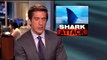 !!SHARK ATTACKS GIRL IN SHALLOW  WATER!!