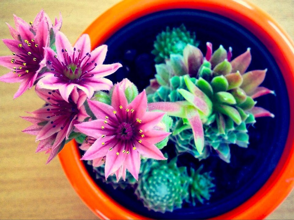 Redesign Your Workspace and Be More Productive