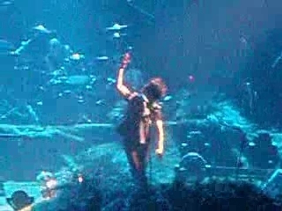 Vibrator - Indochine Lille mars 2007