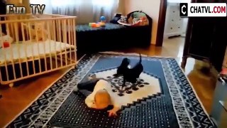 Funny Kids and animals   Videos Compilation 2015 NEW HD