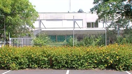 Ils volaient la nourriture de la cantine