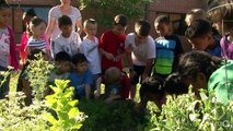 Kids get growing gardens | Wells Branch Elementary | Central Texas Gardener