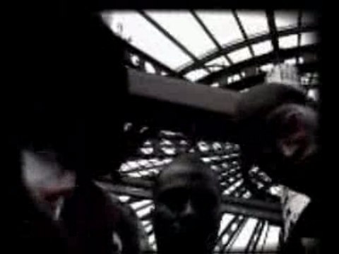 Alpha 5.20 ft. Iron Sy & Lino Mon Crack