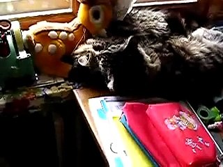 Te voglio stà vicino vicino...