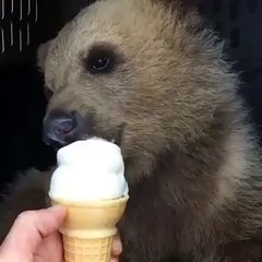 enjoying some ice cream.