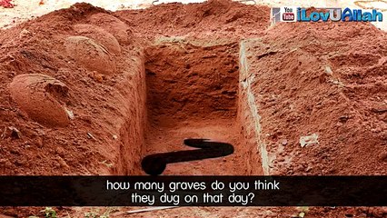 Snake In The Grave True Story full video