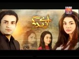 Aye Zindagi Episode 17 promo 25 June 2015 Full Hum Tv