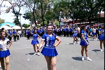 CEOH latin band 2015 - Amor de primavera