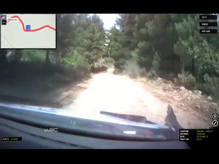 WRC rally cerdeña 2015 camara interior Especial 13 - 18. Coiluna - Loelle