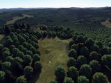 Proland - Real-time planet rendering VII: forests