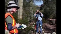 Measuring Saguaro Cactus at the Desert Botanical Garden