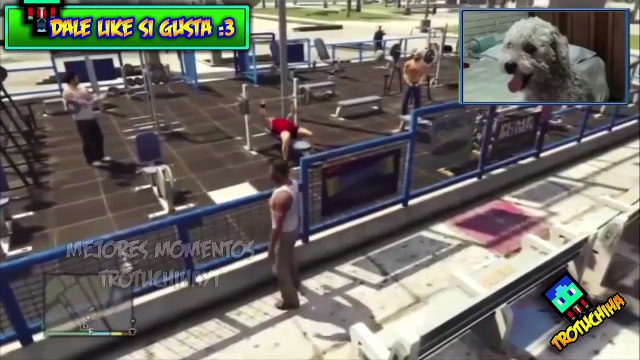 ✮CURLY | EL PERRO DE FERNANFLOO JUGANDO GTA V GRAND THEFT AUTO V ✮☻ MOMENTOS GRACIOSOS