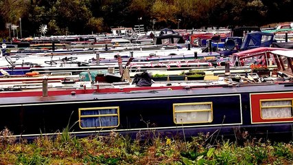 Blackthorne Lake Marina/willy watt marina