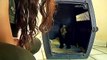 Endangered Bear Cub Rescued In Peru