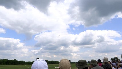 La Ferté Alais 2015 Voltige Extra 330SC