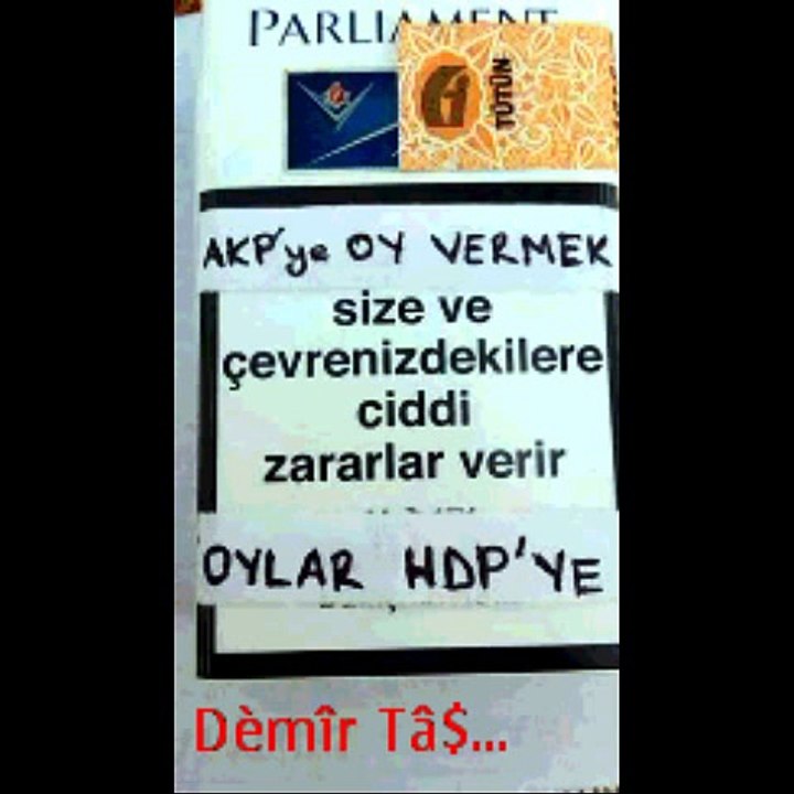 oylar hdp ye