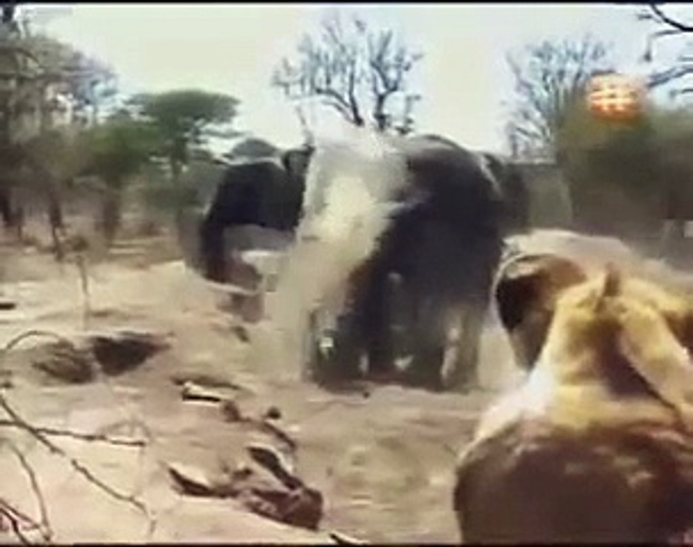 ⁣Wild Animal Documentary The Predators' Story NEW+ INCREDIBLE NATURE DOCUMENTARY