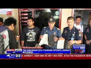 KKP Gagalkan Penjualan Spesies Laut yang Dilindungi