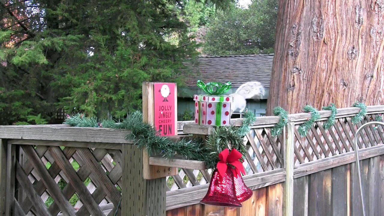 Xip the Squirrel - Xmas 2011