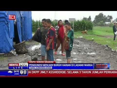 Pengungsi Sinabung Kehilangan Mata Pecaharian