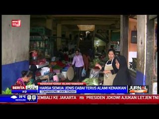 Jelang Ramadan, Harga Semua Jenis Cabai Naik