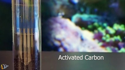 Innovative Marine MiniMax All-In-One Media Reactor Product Demo