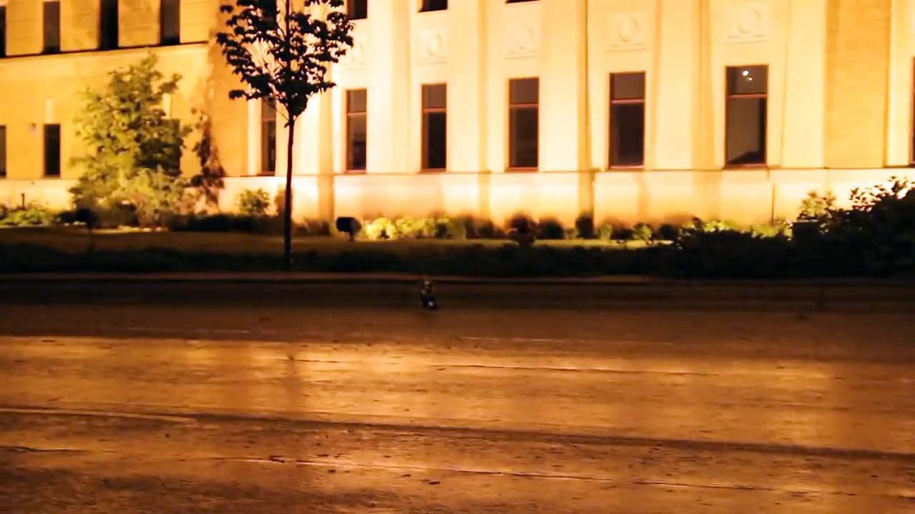 Crazy stray cat attacked me then got ran over by a car.