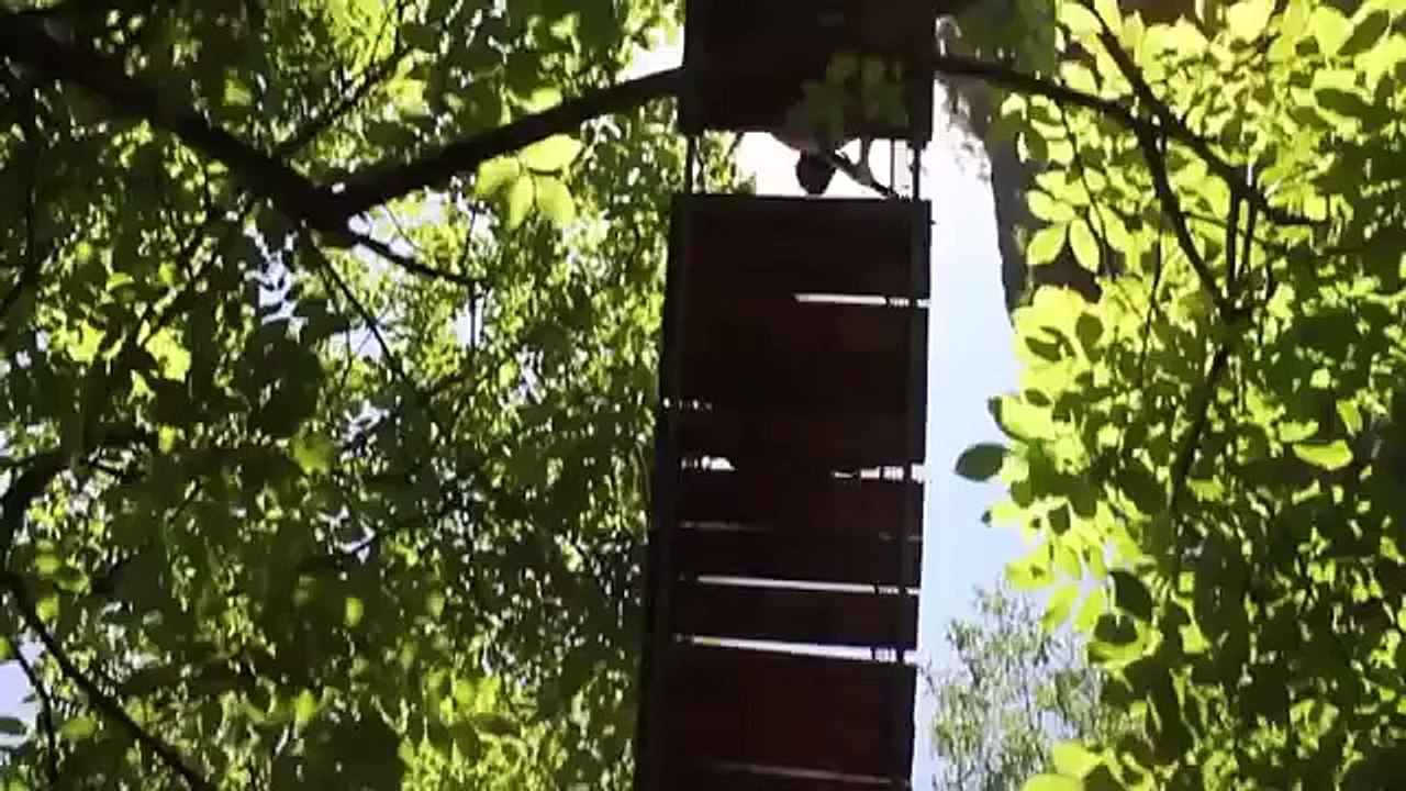 Tomb Raider Reborn (A Survivor is Born) FanFilm