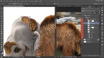 Time-Lapse Digital Painting: Woolly Mammoth in Photoshop | Digital-Tutors