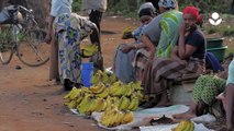 Worldreader Program: Gets Books Into the Most Remote Places