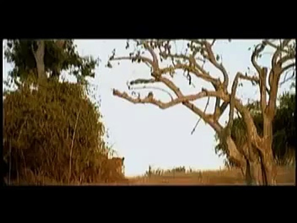 lion song