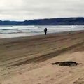 Kids Wheelie his motocross on the beach