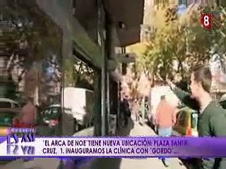 Nueva clínica veterinaria "El Arca de Noé"