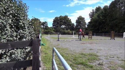 Equine Rescue Video Tour - July 2013