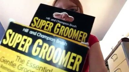 MASSIVE Dover haul!!!!!! (throwback)