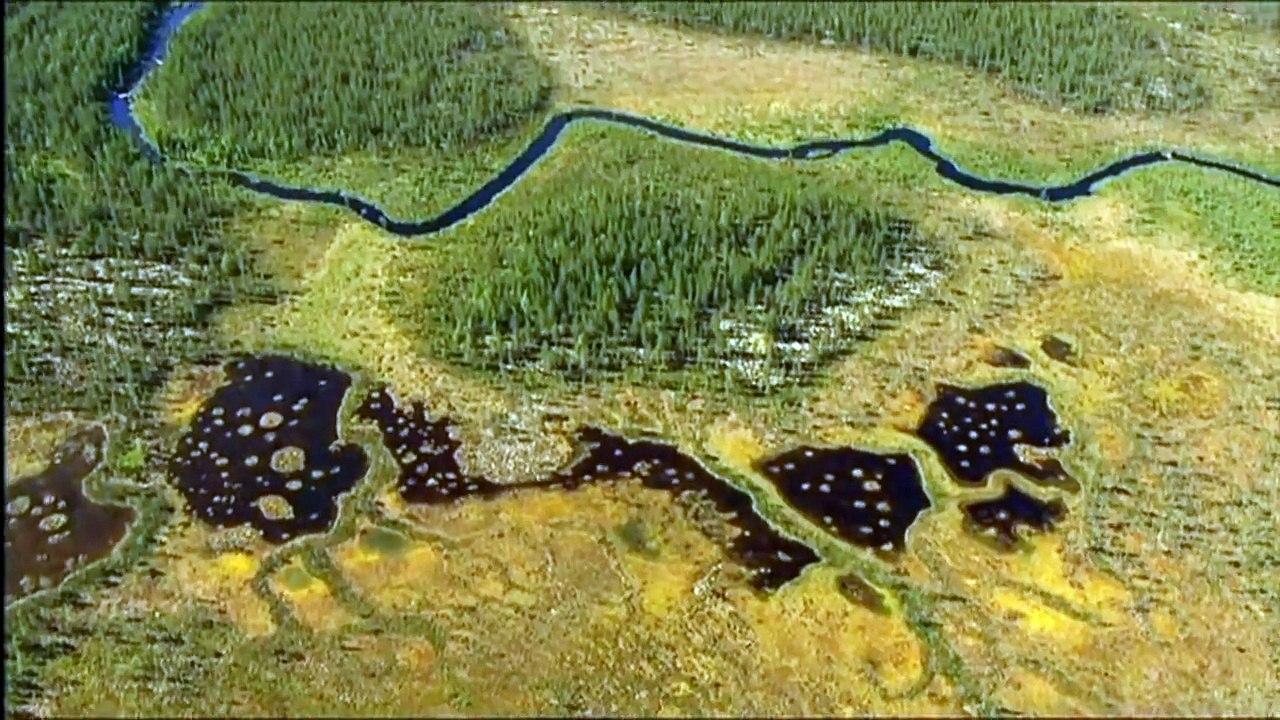 Wild Scandinavia. Sweden / Sverige HD