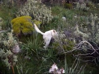 ΤΑ ΙΣΤΡΙΑΣ ΜΟΥ ΧΩΡΙΣ ΤΗ ΡΟΥΛΑ..wmv